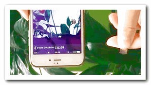 Hidden Camera Detector App Apk